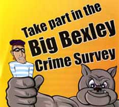 Big crime survey