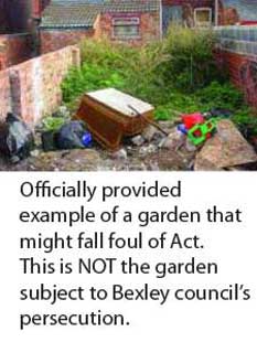 Example of derelict garden