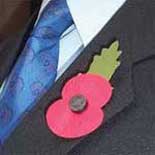 Remembrance poppy