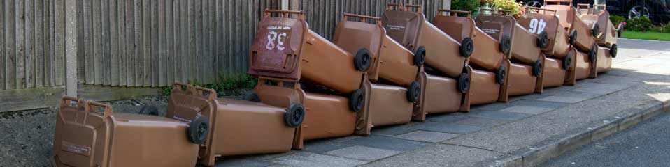 Brown bins