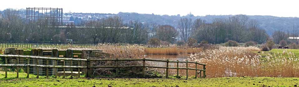 Thames marshes nature reserve. © Richard Spink Thames marshes