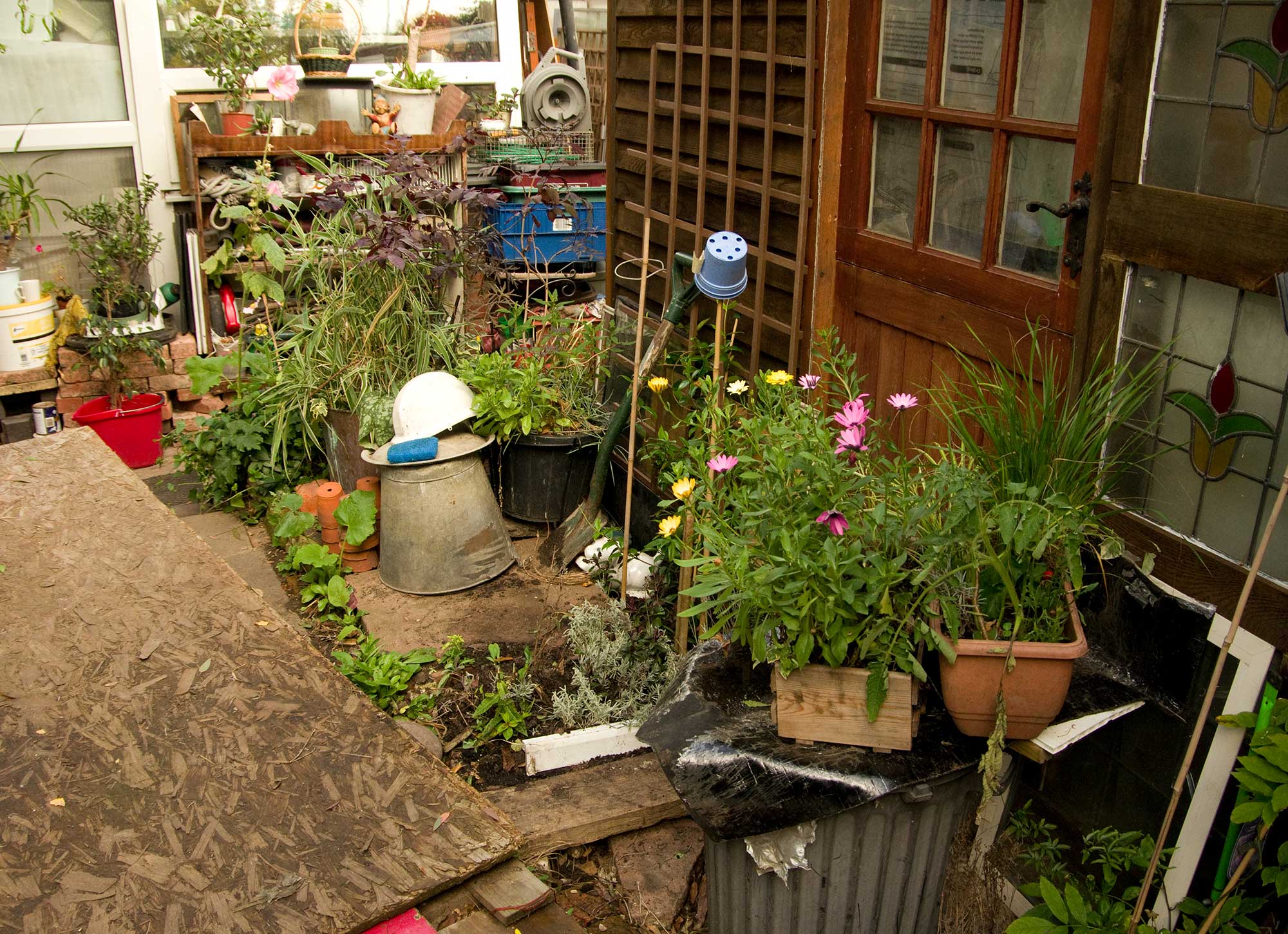 Potting shed and tool store